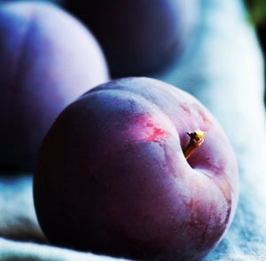 Cashmere Plum