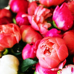 Load image into Gallery viewer, Magnolia &amp; Peony
