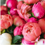 Load image into Gallery viewer, Special Order ( MAGNOLIA &amp; PEONY )
